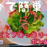 【5分で副菜】桜エビとブロッコリーのポン酢和え/作り置きレシピ