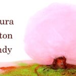 【春スイーツ】お花見気分で♡桜わたあめの作り方 Sakura Cotton Candy