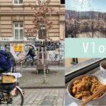 【ベルリンVlog】親子丼と歯医者の日