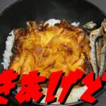 【簡単レシピ】 　甘いタレと苦いイワシの「かき揚げ丼」