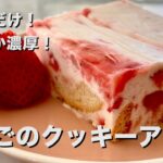 簡単混ぜるだけ！なめらか濃厚スイーツ！いちごのクッキーアイスの作り方
