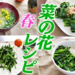 【農家のレシピ×菜の花】常備菜にも♪色んな菜の花のレシピ【おひたし/ナムル/味噌汁/炒めもの】