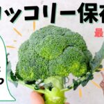 栄養満点、ブロッコリー！洗い方、保存方法からレシピまで、これを見れば、ブロッコリーの調理はもう安心！