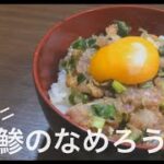 鯵のなめろう丼