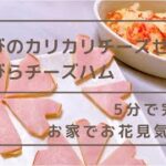 【お花見気分】超簡単！材料2つ！5分でできるチーズおつまみレシピ！お弁当やおやつにも♪