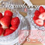 【スイーツデコ】いちごの作り方を世界で一番詳しく解説する動画【フェイクスイーツ 樹脂粘土 食品サンプル】@Atelier myako / Clay&Handmade *