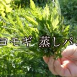ヨモギ 蒸しパン 作り方 How to make steamed mugwort bread