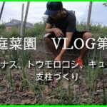 【家庭菜園VLOG 第1話】キュウリ支柱作り 野菜支柱 ナス定植方法