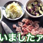【町中華の中華丼を俺流にアレンジした作り方】味噌味風の中華丼レシピ！《Vol.125 偽者シェフのなんちゃってクッキング！》in Banaba South Batangas City Phi 🇵🇭