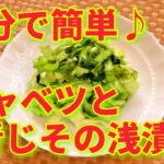 ★レシピ動画★お弁当にも☆5分で簡単♪キャベツと青じその浅漬け★【hirokoh(ひろこぉ)のおだいどこ】