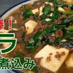【野菜レシピ】ニラたっぷり超美味しすぎて♪︎ご飯がすすむ豆腐煮込み