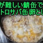 丼にもできる鯖缶(サバ)水煮人気レシピ♬