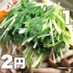 野菜が余った方向け／冬以外でもオススメの鍋をどうぞ【節約＆時短レシピ】
