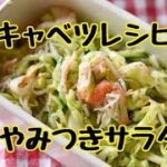 【レシピ・作り置き・副菜】やさしい味のナムル！春キャベツとカニかまのナムル