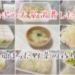 【野菜の作り置き】簡単玉ねぎスライスの作り方 胃腸に優しいオニオンスープ