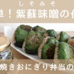 【焼きおにぎり弁当】簡単!紫蘇味噌の作り方/紫蘇味噌を使った焼きおにぎり弁当/失敗しない焼きおにぎりのコツ