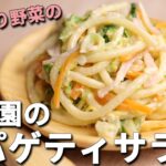 野菜が主役!どっさり野菜でツルツル食べられる保育園の「スパゲティサラダ」の作り方【保育園管理栄養士 あおいの給食室】離乳食 幼児食 献立 レシピ 主婦 料理 家庭料理