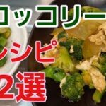 【野菜レシピ】やみつきになるほど美味しい♪︎激安!ブロッコリー炒め物とサラダ