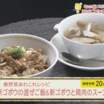 春野菜あれこれレシピ 新ゴボウの混ぜご飯&新ゴボウと鶏肉のスープ