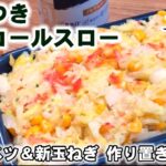 【やみつき春キャベツ新玉ねぎ】無限さっぱりコールスローサラダ作り方/作り置き/常備菜/副菜/大量消費/簡単節約レシピ