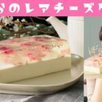 【きゅうりめし】桜のレアチーズケーキの作り方【春スイーツ】