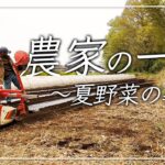 【農家の一日×vlog】 春〜夏野菜準備編〜【所沢農人の1日】