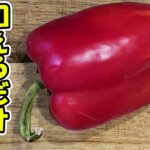 【簡単お弁当おかず】野菜を使った5分以内で作る簡単パプリカレシピ　超時短！和えるだけで出来る簡単おかずの作り方【旦那弁当】