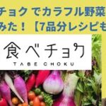 食べチョクでカラフル野菜セット頼んでみた！【レシピ7品分も紹介】