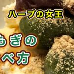 【よもぎ】下処理方法/保存法/和と洋の簡単スイーツの作り方