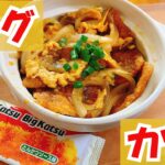 【安くてうまい】ビッグカツ丼をむさぼった大学生