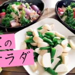 【農家のレシピ×サラダ】農家の春サラダ(えんどう/ニンニク/ラディッシュ)