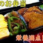 サクッと柔らか～ヒレカツ弁当！野菜たっぷり栄養満点…子供のお弁当【簡単家庭料理】