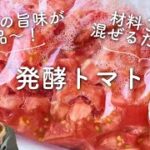 【トマトのうまみが絶品〜！】発酵トマトのレシピ・作り方