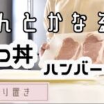 【作り置き】かつ丼とハンバーグ丼
#丼レシピ #ストレスレス #活性酸素除去