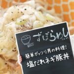 【ズボラ飯】塩だれネギ豚丼を作ってみた！【料理動画・簡単レシピ】