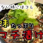 薬味の過重労働が垣間見える【ハマチの漬け丼】