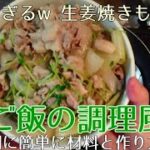 [昼ご飯]生姜焼きもどき丼