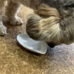 野菜も魚も大好き！｜パートナーに優しいレシピ