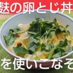 車麩の卵とじ丼の作り方を @京都料理人あきひこ が教えます‼️乾物 麩 三つ葉 出汁巻き玉子