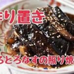 【レシピ・作り置き・副菜】なすだけなのに！ご飯がもりもり進む！なすの粒マスタード照り焼き