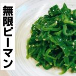 【無限ピーマン】10分でできる副菜！ピーマンの簡単ナムルレシピ！作り置きやお弁当のおかずにも♪苦味ナシ