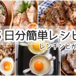 3日分の超簡単な献立、レシピと弁当とすり猫【お弁当】【簡単レシピ】