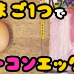 【簡単お弁当おかず】たまご１つで作れるレンチンベーコンエッグの作り方！5分以内で作れる卵を使ったおつまみレシピを紹介します【旦那弁当】