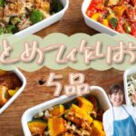 【作りおきレシピ】野菜たっぷり大満足なおかず5品Part14【便利な買い物リスト付き】