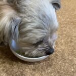 鶏ムネ肉と野菜の昆布スープ【パートナーに優しいレシピ】