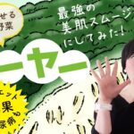 【夏に痩せる最強野菜】ゴーヤで痩せる！スムージーレシピを紹介 糖尿病に効果あり！