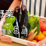 【夏野菜の作り置き】週初めの常備菜作り【レシピ５選】