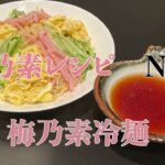 【梅好き必見】さっぱり美味しい梅冷麺の作り方