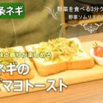 【時短のらレシピ】九条ネギのチーズマヨトースト