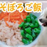 犬用 ３色そぼろ丼の作り方